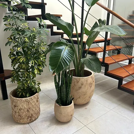 Stunning 2 Bedroom Duplex Close To Main With Seaviews * פוארטו דל כרמן