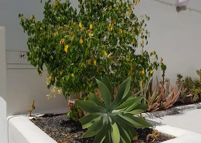 Stunning 2 Bedroom Duplex Close To Main With Seaviews Apartamento